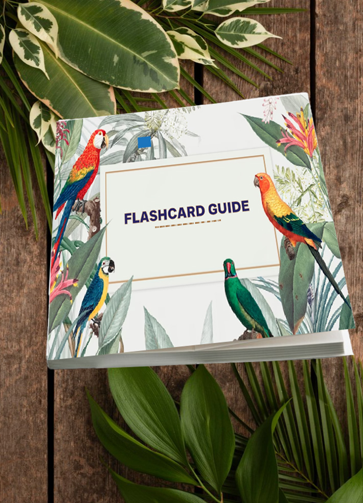 Free Guides